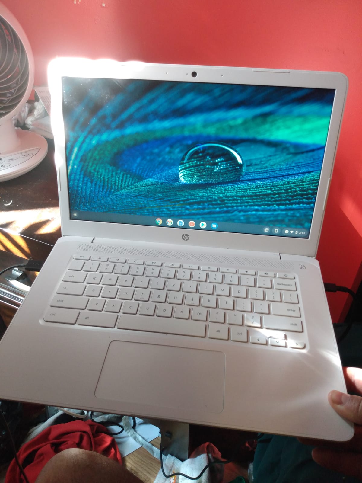 HP 2026 Laptop, 1 Year Office 365&AI-Copilot, 128GB UFS with 500GB Ext HDD customer photo 1