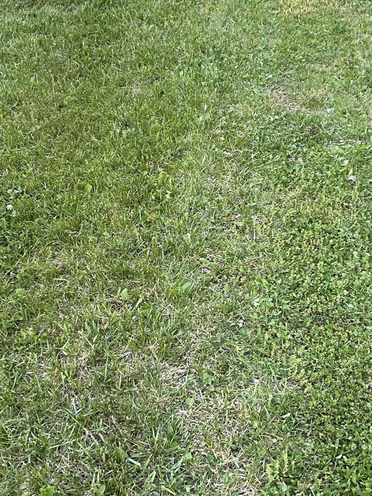 ANTHBOT M9 Robotic Lawn Mower with Garage, 1/4 Acre Wire-Free NRTK & Vision customer photo 1