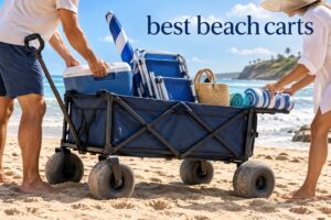 best beach carts